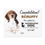 311-Super Duper Dog Certificate