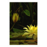 337 Yellow Lilly Flower Stationery Design