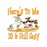33rd Birthday Party Gifts t-shirts
