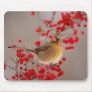 350 MOUSE PAD