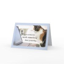 3588 Admin Pro Cat Computer, Humour