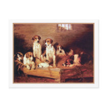 35  Foxhounds and Terriers Postcards