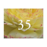35th Birthday Postcard