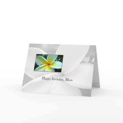 3616 Mum Birthday Single Flower by sandrarosecreations