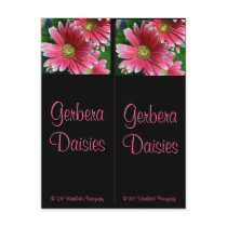 365flower Gerbera Daisies Postcard