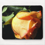365Flowers Mousepads