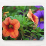 365Flowers Mousepads