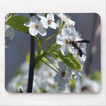365Flowers Mousepads