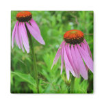 365flowers RedGage Challenge Magnets
