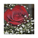 365flowers RedGage Challenge Fridge Magnet