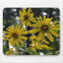 365flowers RedGage Challenge Mouse Pads