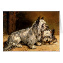 38a Two Terriers cards
