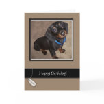 3913 Happy Birthday, Dog, Dachshund Greeting Cards