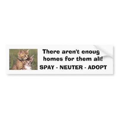 392324005_d000fde36f, There aren't enough homes... Bumper Stickers by feministcat