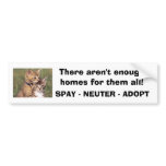 392324005_d000fde36f, There aren't enough homes... bumper stickers