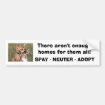392324005_d000fde36f, There aren't enough homes... Bumper Stickers
