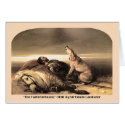 39a  The Faithful Hound cards