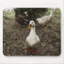 3 Amigos - mousepad
