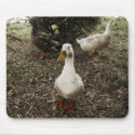 3 Amigos - mousepad