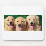 3 Amigos mousepads
