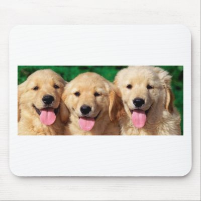 3 Amigos Mouse Mat by RIPetshopboy