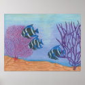 3 Angel Fish posters