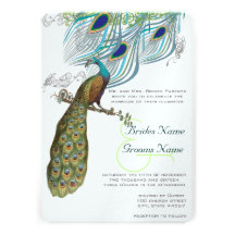 3 Aqua Peacock Vintage Feathers & Bird Personalised Announcement
