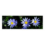 3 blue suns business card