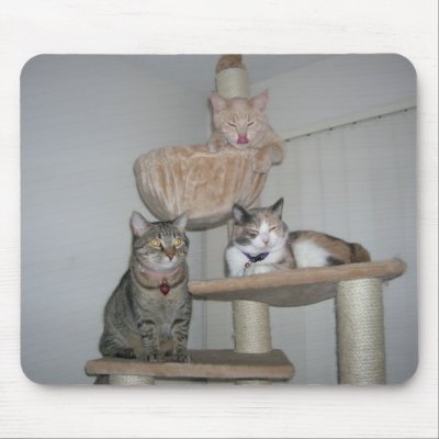 3 Cats Mousepad by jupitershana