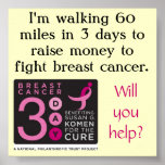 3-Day Fundraising Poster posters