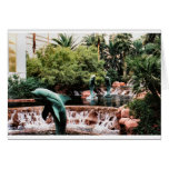 3 dolphin greeting cards