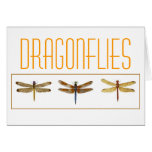 3 Dragonflies. Card