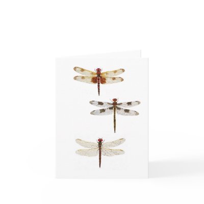 3 Dragonflies Cards by thomglace