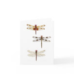 3 Dragonflies cards