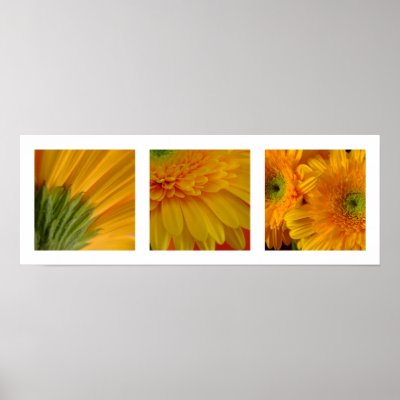 3 Gerberas Poster by floraluniverses