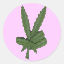 3 Inch Round Pink Peace Round Sticker