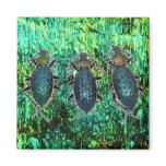 3 Iridescent Beetles Magnets