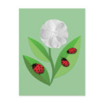 3 Ladybugs Postcard