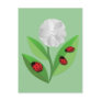 3 Ladybugs Postcard