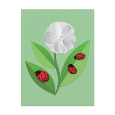3 Ladybugs Postcard by stellerangel