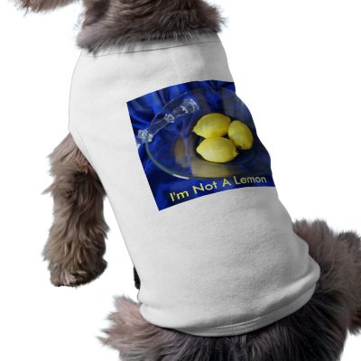 3 Lemons And Candlestick Dog T Shirt by Debrene