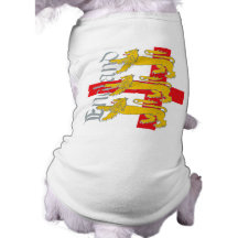 3 Lions on St George's Cross Pet Tee