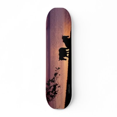 3, Lithium Skateboards by hahahano