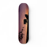 3, Lithium skateboards