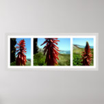 3 Panel Wild Red Cave Flower posters