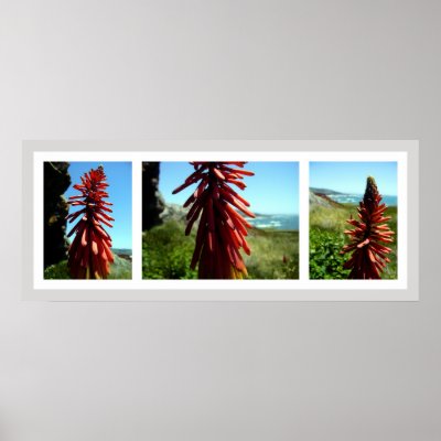 3 Panel Wild Red Cave Flower Print by crstffr