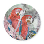 3 parrots bird animal wildlife zoo watercolor art magnets