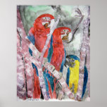 3 parrots bird animal wildlife zoo watercolor art posters