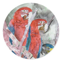 3 parrots bird animal wildlife zoo watercolor art