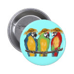 3 Parrots Pinback Button